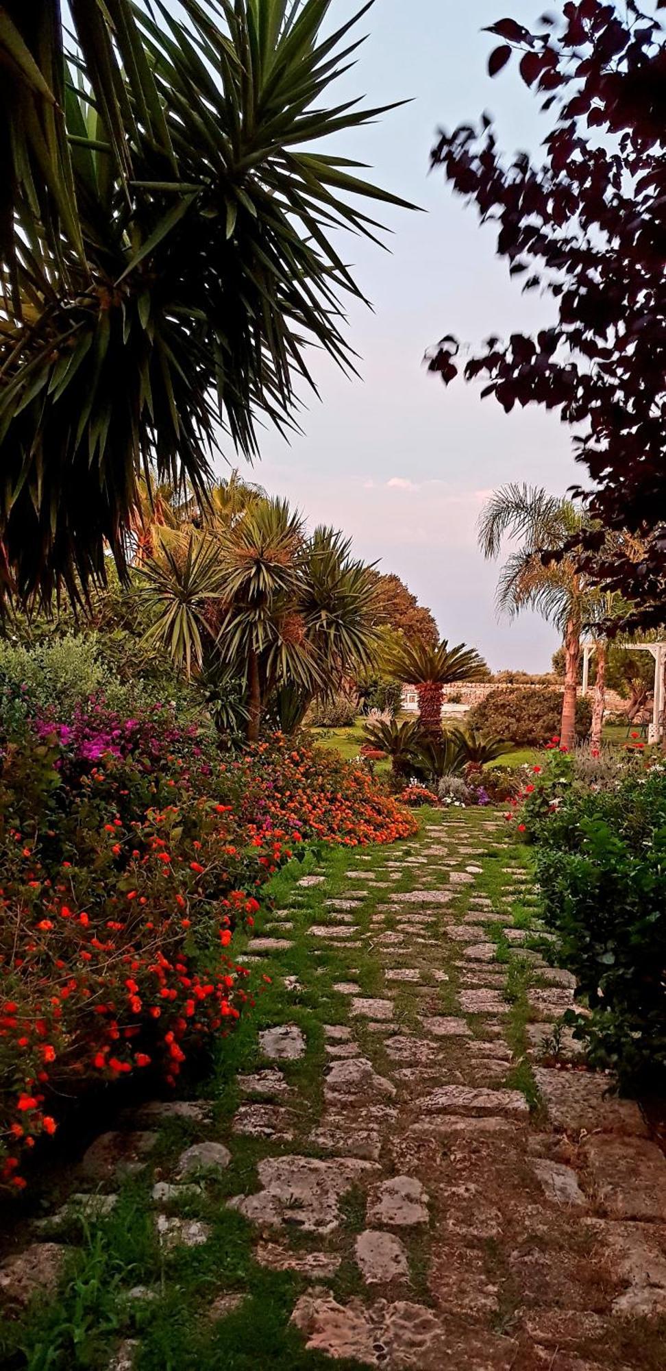 مبيت وإفطار توري سانتا سابينا Masseria Boezio Ostuni المظهر الخارجي الصورة